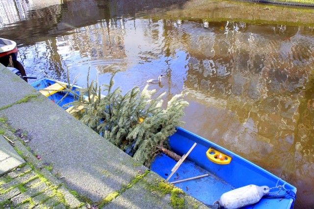 Автотур "Опять несет куда глаза глядятъ"