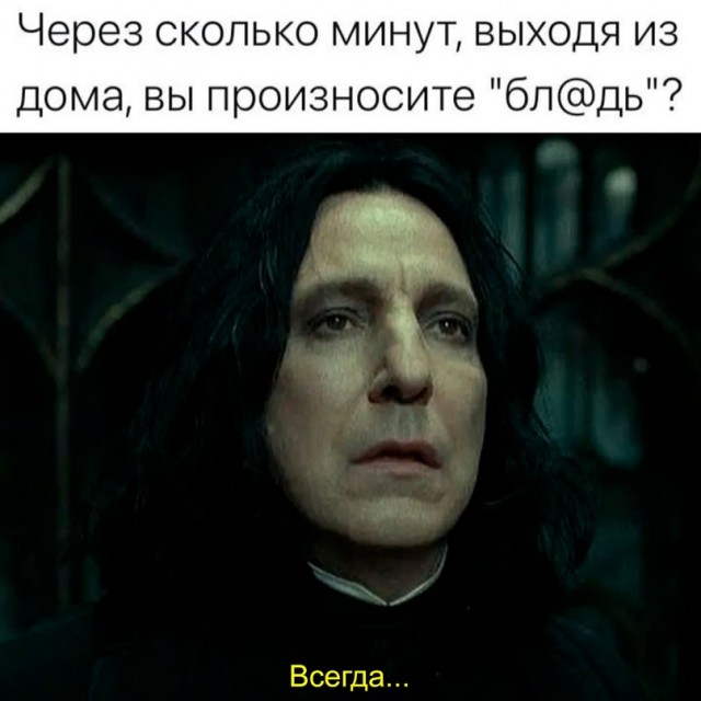 Весёлый полтишок 24.11.22