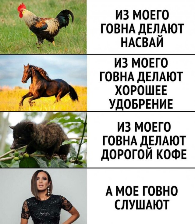 Картинки и мемы для настроения - 133