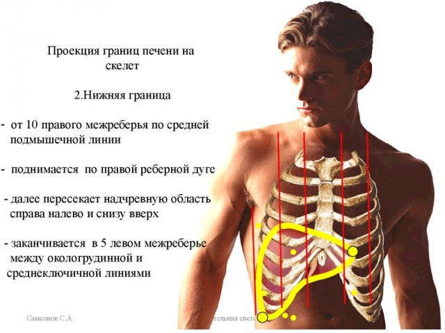 Слава богу, я безбожник #6