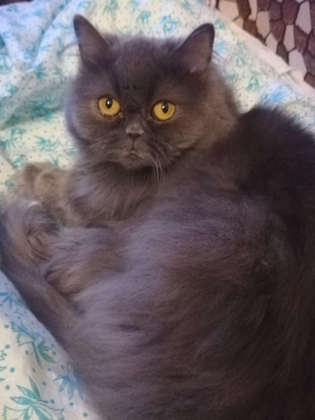 Совпало же? В котовторник