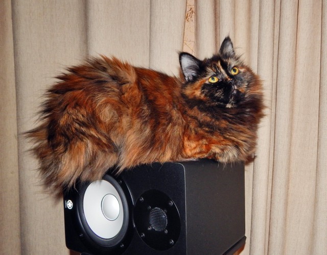 Природа Южного Урала