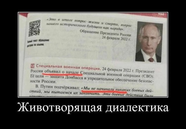 Глава офиса генсека НАТО: Украина может вступить в альянс, уступив территории