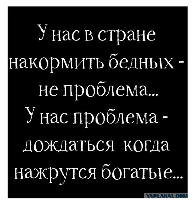 Забавные комментарии из социальных сетей (20.11.23)