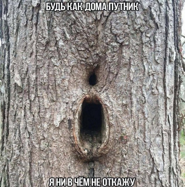 Ну штош, продолжим пОшло деградировать