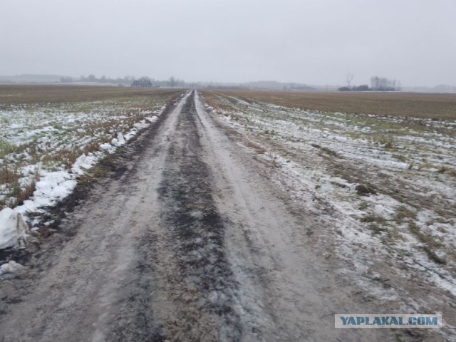 Жизнь домашнего приюта для котеек 475