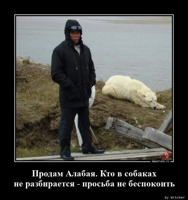 Счастье не в деньгах цитаты. Зависимость от денег. Банкноты приколов. Деньги не отвечая на их. Смешные деньги.