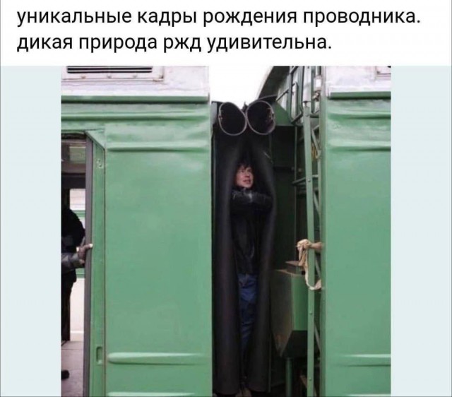 Завалялось тут случайно немного забавных картинок