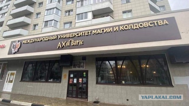 Главу «Империи сильнейших ведьм» задержали за обман и экстремизм