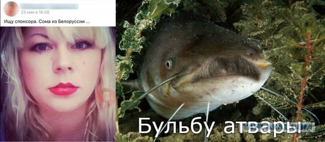 Обстановка на форуме молодых мамочек мотивирует рожать сома!