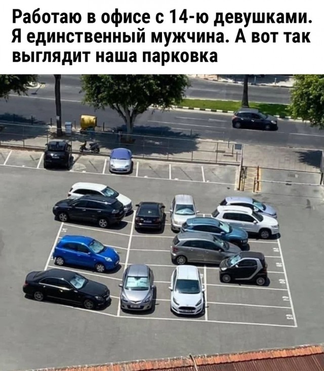 Так себе картинки 28.07.24