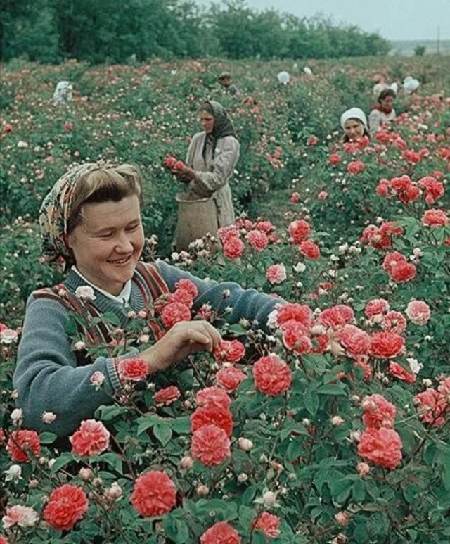 Back in USSR (06.08)