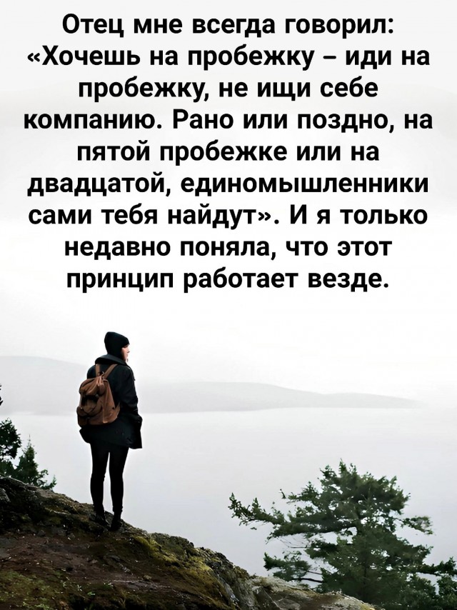Так себе картинки 26.08.24