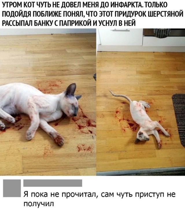Нуштош 30.09.2024