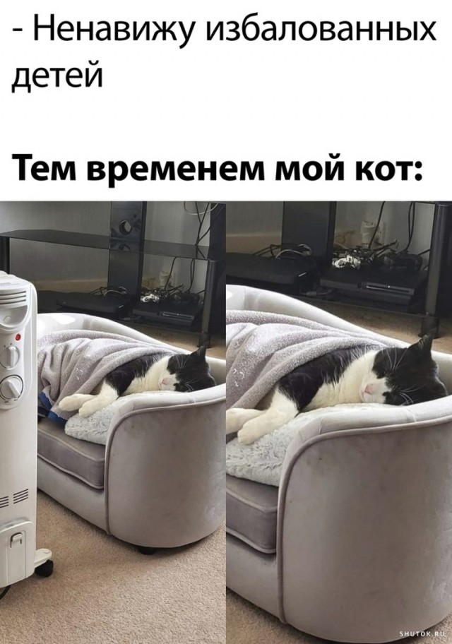 Завалялось тут случайно немного забавных картинок