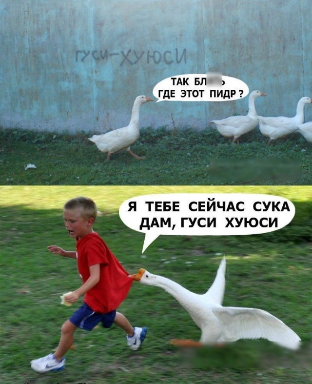 Пятничные картинки.