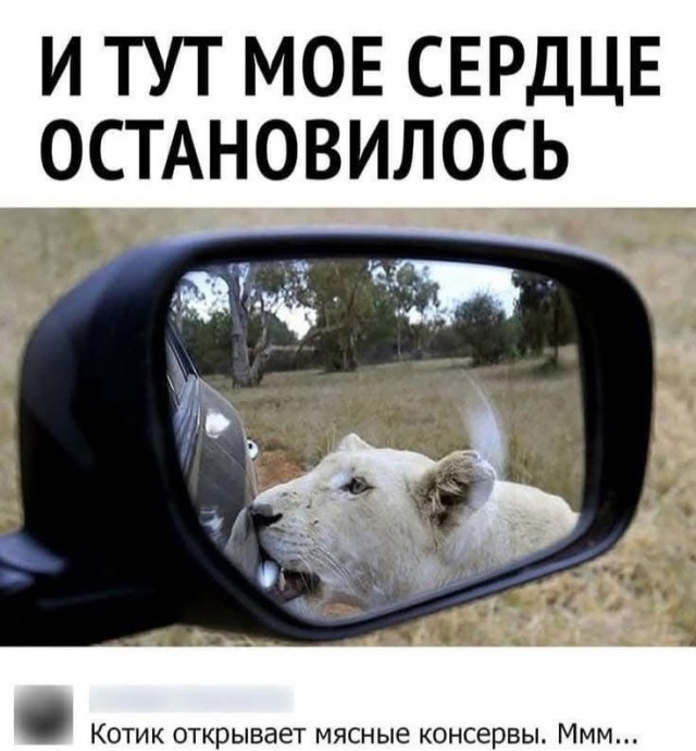 Завалялось тут случайно немного забавных картинок