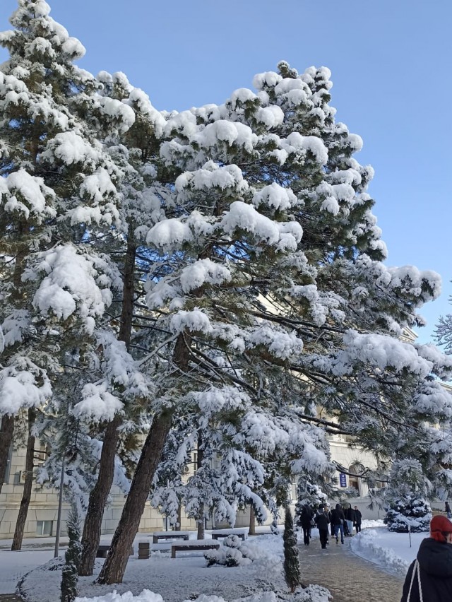 Ай да Пушкин! Конкурс стихов