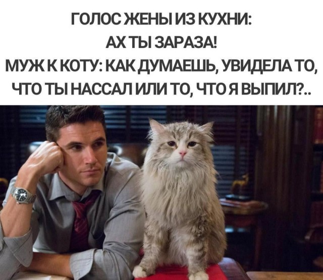 Картинки не для всех