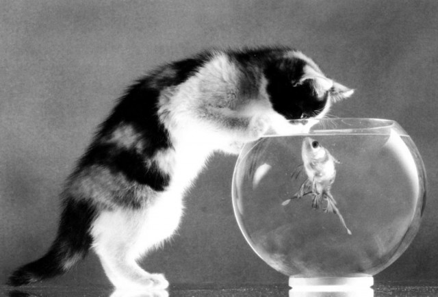 Субботнее фото