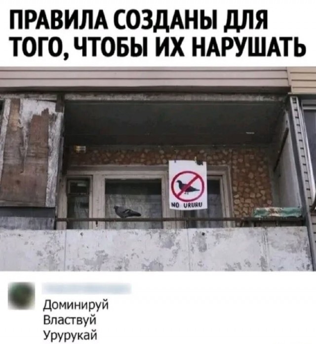 Для пятничного настроения