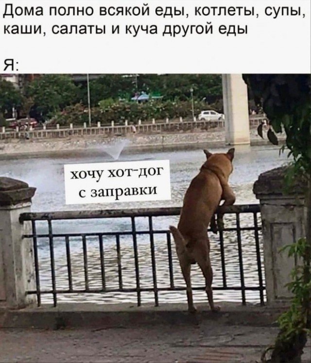 Веселые картинки в понедельник (01.09(