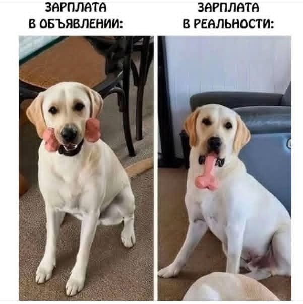 6 картинок из лечебницы, коллеги.