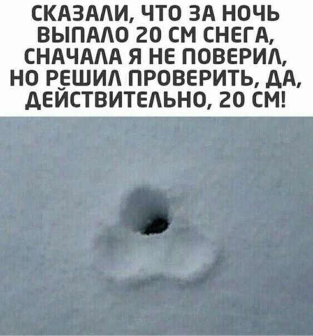 Прикольные и просто красивые картинки 16.01.2026