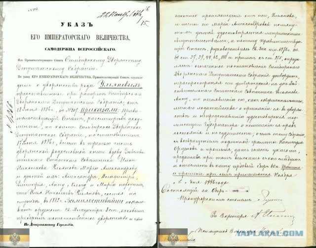 «Вытерла ноги о народ»