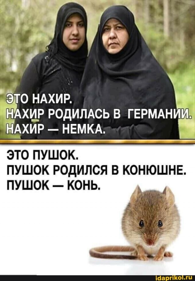 Господа гусары ваш выход