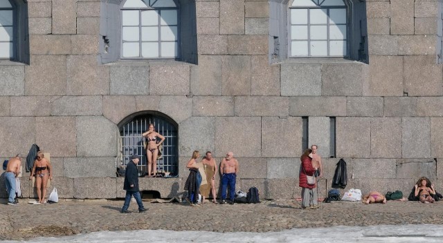 Подсолнухи Петропавловки