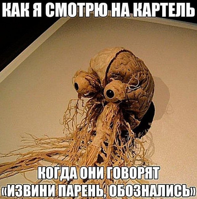 Картинки для деградации 176 (разной степени свежести)