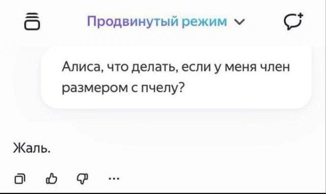 20954602.jpg