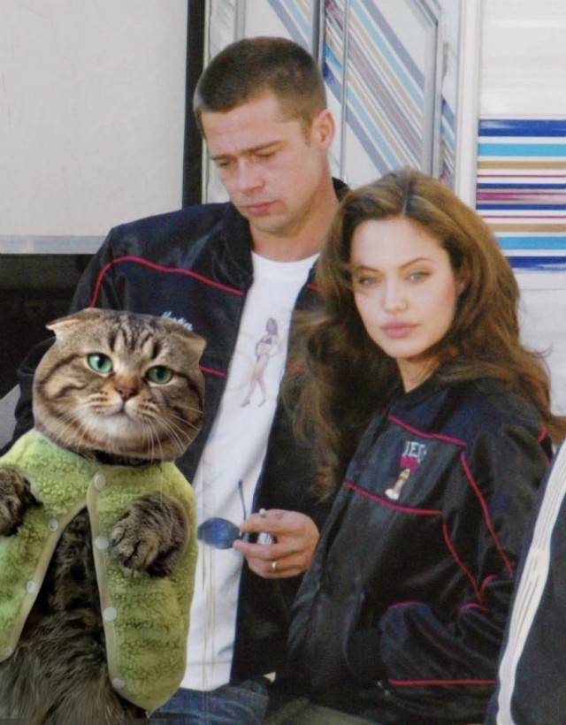 Фотожаба: Грустный котик