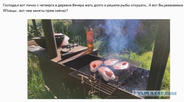 Вот прям ща-кто чо делает?