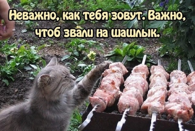 Так себе картинки 05.07.26