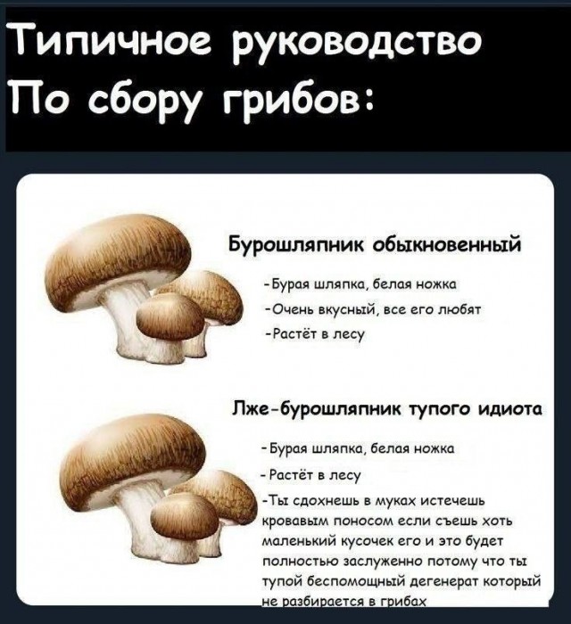 Так себе картинки 29.07.26