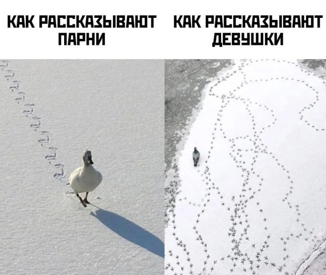 Картинки для деградации 258 ( разной степени свежести)