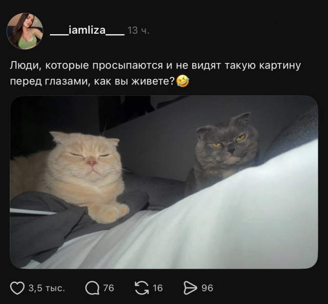 Так себе картинки 28.08.26