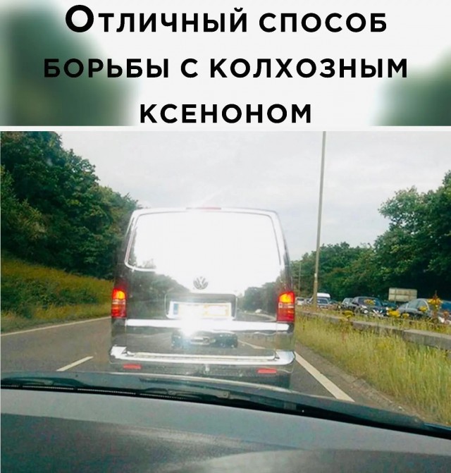 Так себе картинки 25.09.26