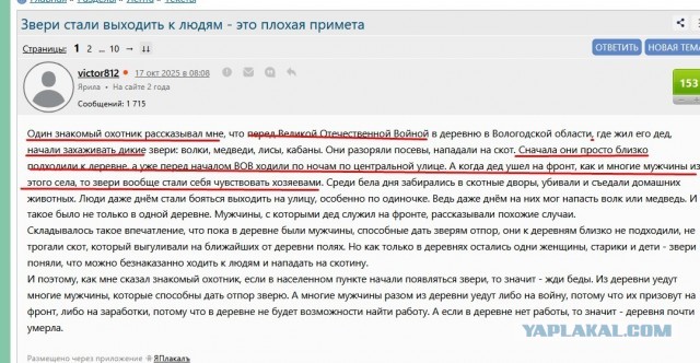 Медведь растерзал мужчину в Богучанском районе Красноярского края