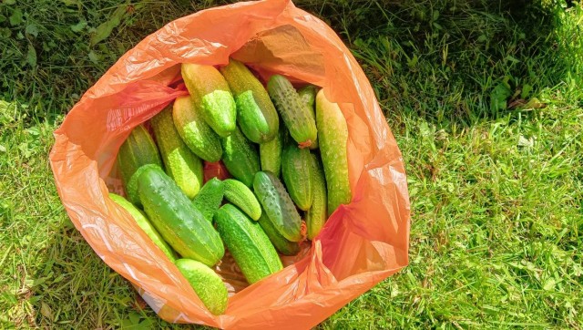 Вы хотели стройки? Вот вам продолжение про самую маленькую дачу в мире.