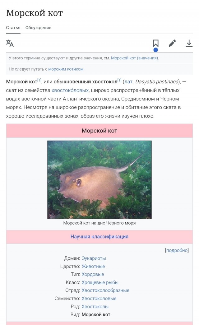 Обзор Ялтинского рынка на октябрь, с ценами