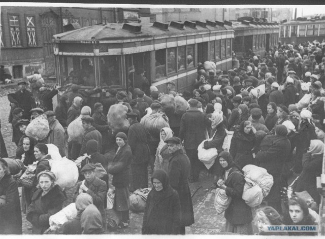 Блокадный Ленинград 1943 год