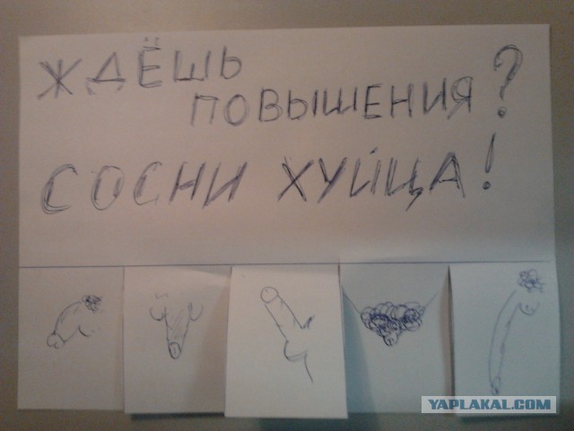 Объявления из Питера