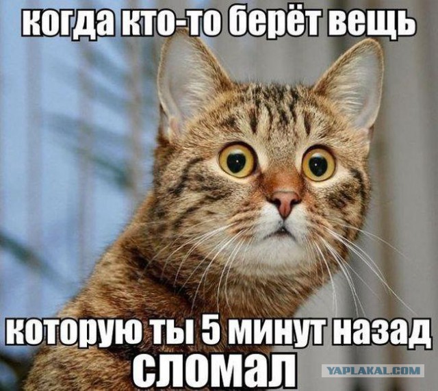 Картинки
