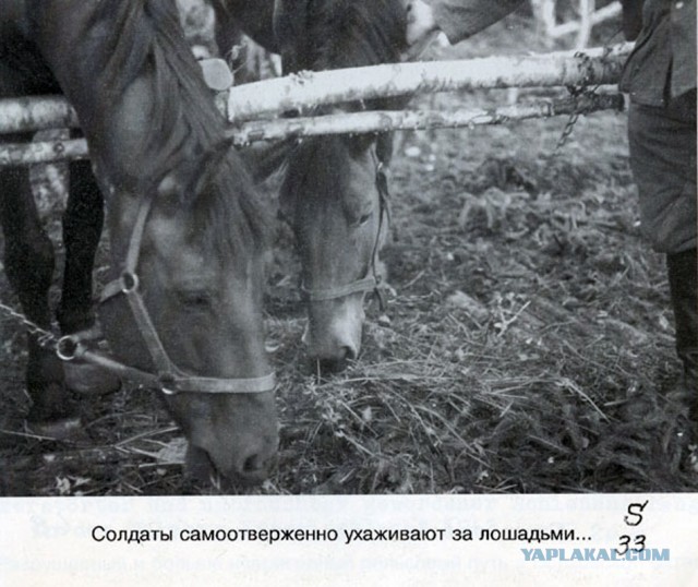Фото с мест Волховской битвы (Вермахт)