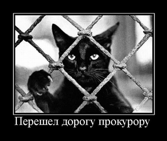Картинки, СМСки из вашего тырнета