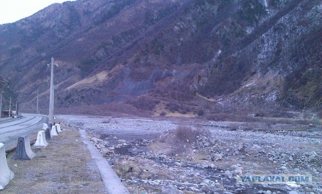 Я узнал, что у меня есть огромная семья