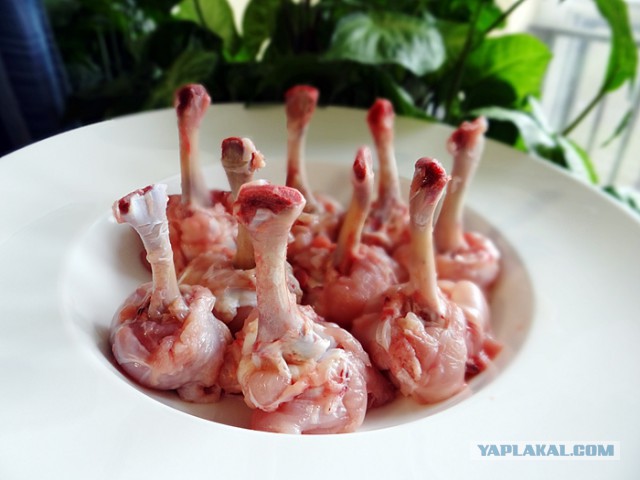 Соси – грызи, кусай - запивай